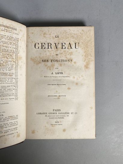 null LUYS, Jules Bernard - Le Cerveau et ses fonctions. 3e éd. Paris, Germer Baillière,...