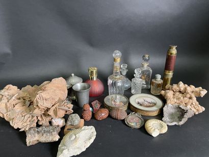 null Lot of various trinkets: telescope, minerals, shepherd lamp, bottles, shelves...