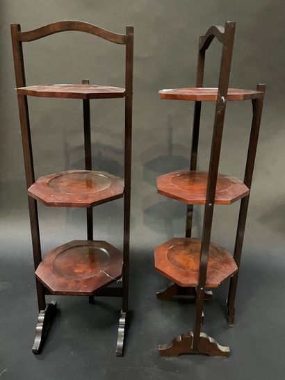 Pair of mahogany plate stands with three...