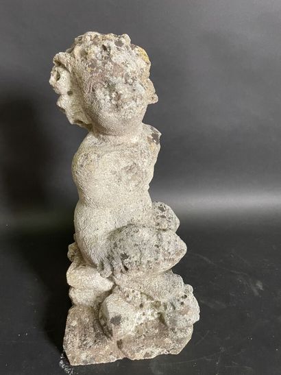 null Fauna in reconstituted stone

H : 52 cm

Wear, moss, missing parts