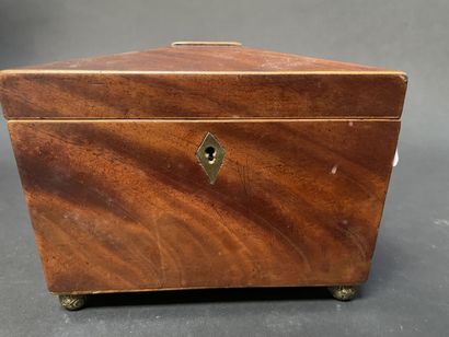 null Box with two compartments in walnut veneer and light wood fillet standing on...