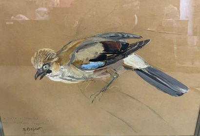 null Raymond BIGOT (1872-1953)

Jays

Gouache signed and dedicated to Madame Marchal,...