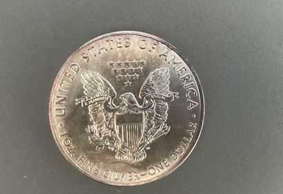 null USA

1 dollar coin "Liberty" in silver, year 2011.

Weight : 31,15 g.

Wear...