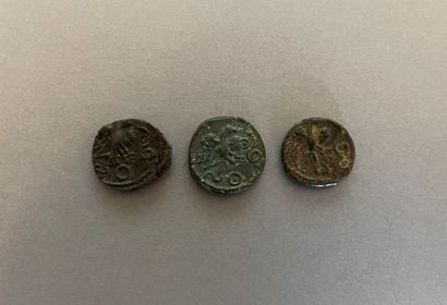 null Carnutes. Lot of 3 bronzes, class III with eagle and snake. LT.6077 - DT.2576

Nice...