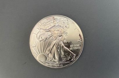 null USA

1 dollar coin "Liberty" in silver, year 2011.

Weight : 31,15 g.

Wear...