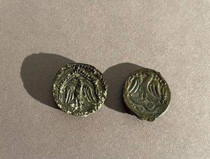 null Carnutes. Lot of 2 Pixtilos bronzes, class VIII at the temple. LT.7100 - DT.2472

Nice...