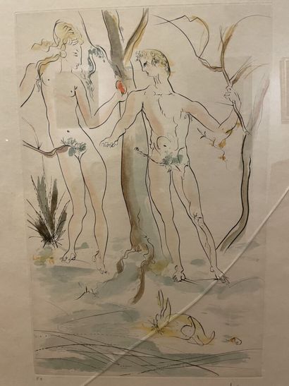null Salvador DALI (1904-1989) 
Adam et Eve 
Eau-forte et aquatinte imprimée en couleurs,...