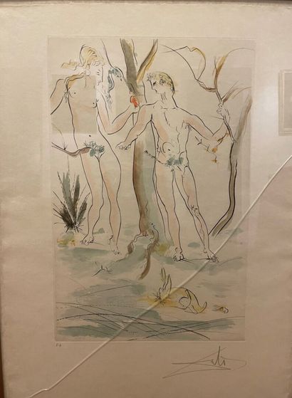 null Salvador DALI (1904-1989) 
Adam et Eve 
Eau-forte et aquatinte imprimée en couleurs,...