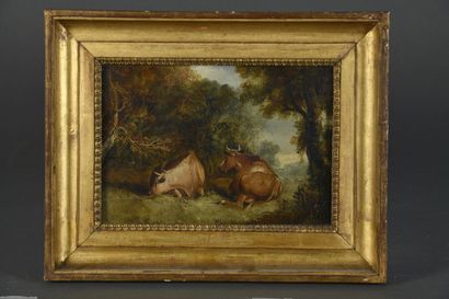 null HOLLAND school of the end of the 18th century 
Cows at rest
Oil on canvas. 
19...