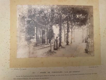 null Album "Souvenir des ostensions de Saint-Junien, 1890
album comprenant 24 photographies,...