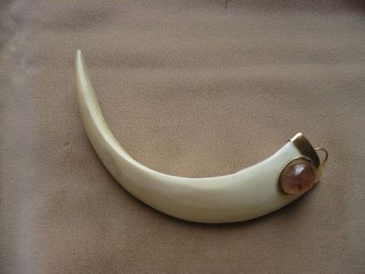 null Pendentif «dent d'ivoire» monté en or et serti d'un cabochon de tourmaline rose....