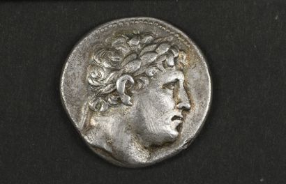Pergamon - Attalus I (247-197 BC).
Tetradrachm...