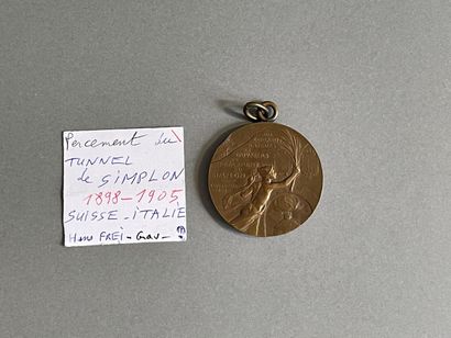 null France - Europe. 
Plateau de 20 médailles en bronze, Histoire, Europe, dive...