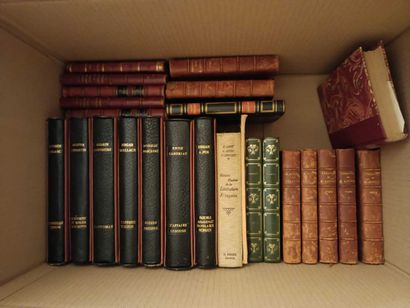 null Lot of bound and paperback books, mainly French literature.
Two boxes.
Accidents.

ATTACHED:...