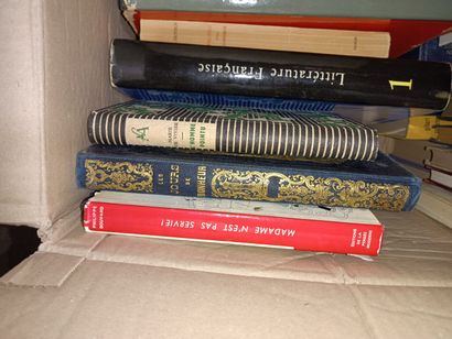null Lot of miscellaneous books, mainly literature and geography.
15 boxes. 

Sold...
