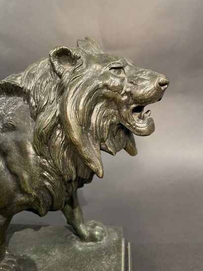 null After Antoine Louis BARYE (1795-1875). 
Walking Lion. 
Green patina bronze proof,...