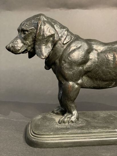 null after Antoine Louis BARYE (1795-1875). 
Standing Basset (head turned to the...