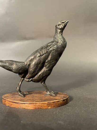 null Lot comprising various bronze animals:
- a pheasant:
Height. 12 cm; Depth: 6...