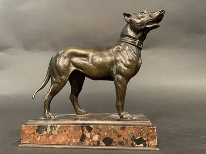 null French school of the 19th century. 
Standing dog
Brown patina bronze proof,...