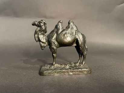 null In the taste of Alfred BARYE (1839 - 1882). 
Camel
Green patina bronze proof,...