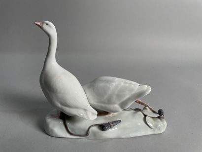 null Copenhagen porcelain group: pair of geese.
15 x 18 cm