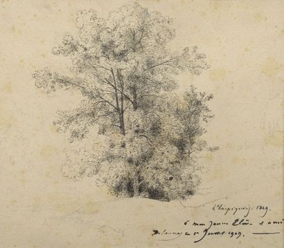 Henri HARPIGNIES (1819-1916) Etude d'arbres, 1849 Mine de plomb, plume et encre sur...