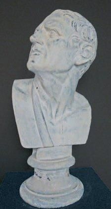 null Tête d'homme à l'antique Plâtre sur piédouche, h.: 62 cm