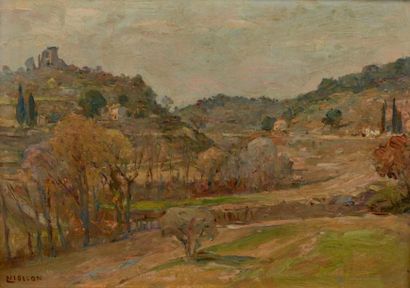 Barthélémy NIOLLON (1849-1927) Paysage, le vallon des gardes Grovenu Huile sur panneau...