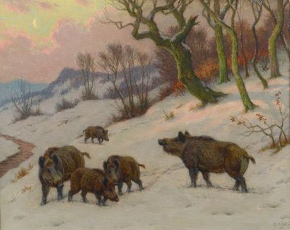 Georges Frédéric ROTIG (1873-1961) Harde de sangliers dans la neige Huile sur toile...