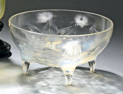 RENE LALIQUE (1860-1945) Coupe «Lys» (1924). Épreuve en verre blanc moulé pressé...