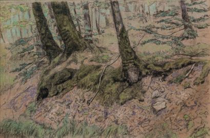 Paul-Elie RANSON (1861-1909) 
Sous-bois
Pastel sur papier signé en bas à droite.
30...