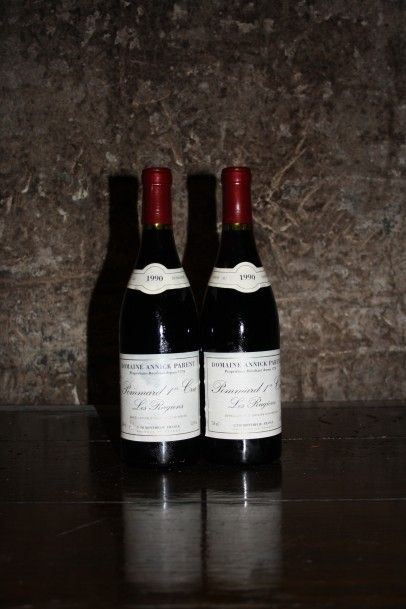null 2 bouteilles Pommard 1er Cru Les Rugiens 1990

Domaine Annick parent, étiquettes...