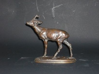MÊNE Pierre Jules (1810-1879) Chevreuil Bronze à patine brune, signé et marque de...