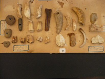  Lot de fragments de faune dont dents de suidés, cinq cervidés, cinq chevaux, une...