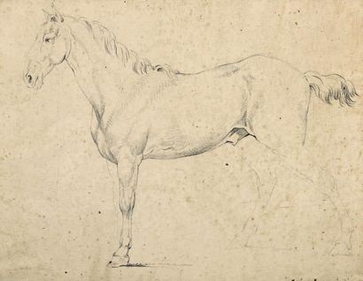 Henrick VOOGD (1766-1839) Portrait du cheval de Carlo Milesi
Fusain sur papier, signé...