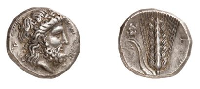 null METAPONTE (vers 340-330 av. J.C.). Statère d'argent. 7,83 g. Tête laurée et...
