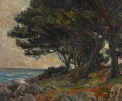 null Georges MOULLADE (1893-1968)

"Les pins sur la Côte d'Azur"

Huile sur panneau,...