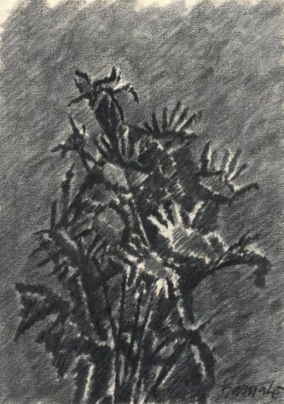 Duilio BARNABÉ (1914-1961) 
Bouquet Fusain, signé en bas à droite.
45,5 x 32 cm