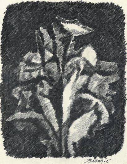 Duilio BARNABÉ (1914-1961) 
Fleurs
Fusain, signé en bas à droite.
58 x 45 cm