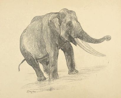 Giuseppe GRAZIOSI (1879-1942) 
Éléphant
Lithographie, épreuve d'essai imprimée en...