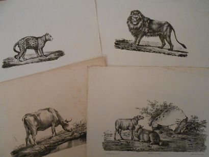 null D'après Eugène VERBOECKHOVEN(1798-1881)

Lot de lithographies en noir représentant...