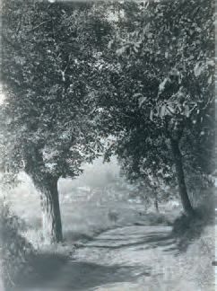 Amateur pictorialiste Effet d'ombre sur des chemins, France, vers 1910.
Deux épreuves...