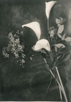 Photographe moderniste hongrois 
Étude de fleur, vers 1924. Épreuve argentique d'époque,...