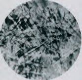 BARR Macrophotographie de cristaux, Sodium Acetate, Mounting Tissue, vers 1970. Trois...