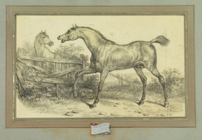 Carle VERNET (1758-1836) Les deux chevaux. Pierre noire. 27 x 43,5 cm. G.A.