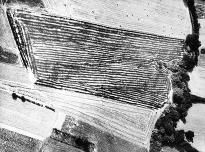 MARIO GIACOMELLI (1925-2000) Paysage de la série Presa di coscienza sulla natura,...