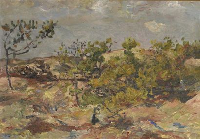 null Henri MARRE (1858-1927)

Paysage du Midi

Huile sur toile, tampon de la vente...