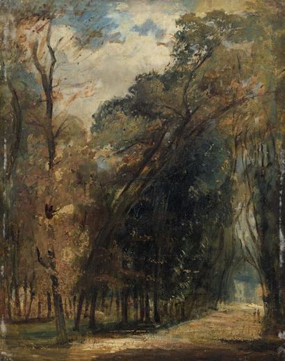 PAUL HUET (PARIS 1803-1869) 
Allée d'ormes dans le parc de Saint Cloud
Panneau renforcé.
Signé...