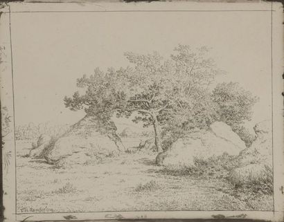 Théodore ROUSSEAU (1812-1867) Le cerisier de la plante à Biau. 1862. Cliché verre....