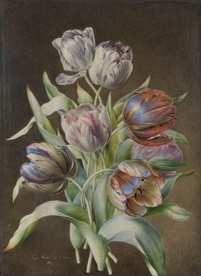 Julie Ange PICART-WASSET (? 1802-? 1842) Bouquet de tulipes
Gouache.
56 x 41,5 cm
Signée...
